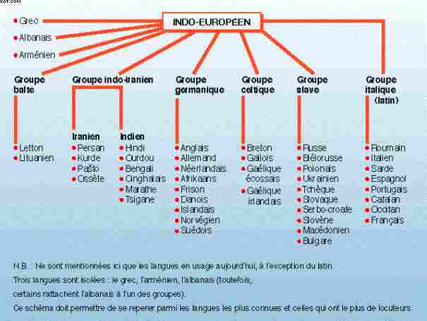 La langue indo - européenne
